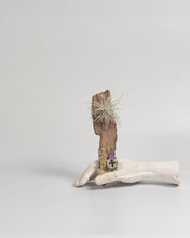 Cargar imagen en el visor de la galería, Corteza paraTillandsias.