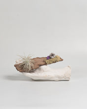 Cargar imagen en el visor de la galería, Corteza paraTillandsias.