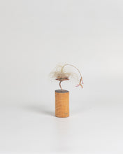 Cargar imagen en el visor de la galería, Cilindro para Tillandsias sobre madera.