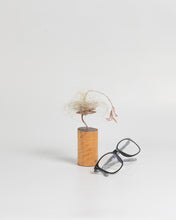 Cargar imagen en el visor de la galería, Cilindro para Tillandsias sobre madera.