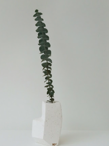 Kalo diseño.