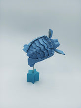 Cargar imagen en el visor de la galería, Tortugas.
