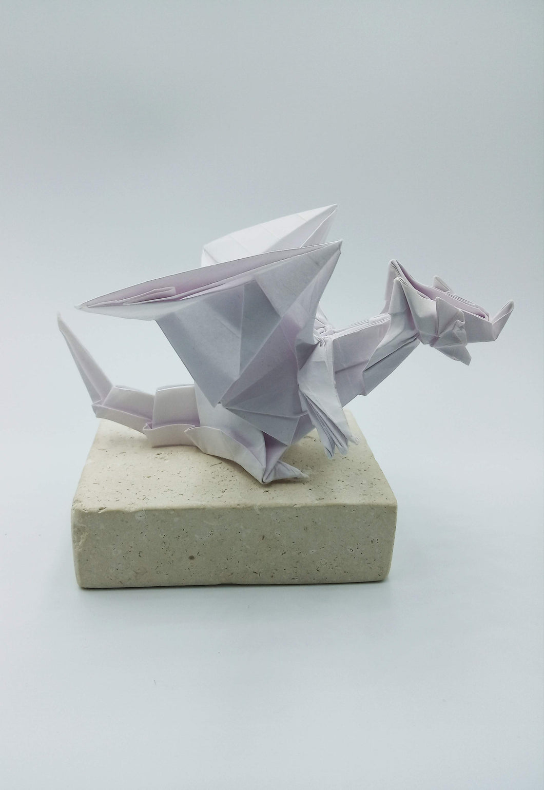 Dragon suelo.