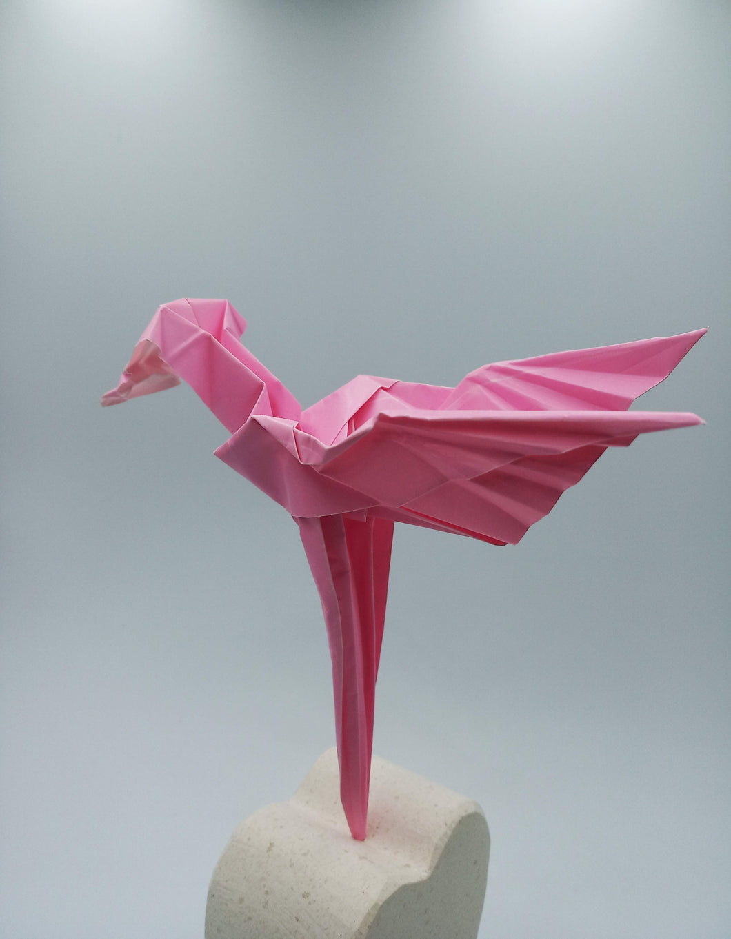 Colibrí.