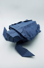 Cargar imagen en el visor de la galería, Tortugas.
