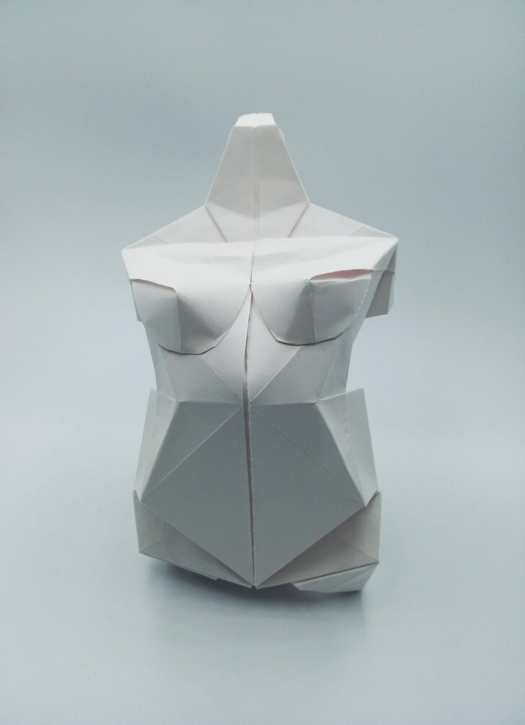 Torso.
