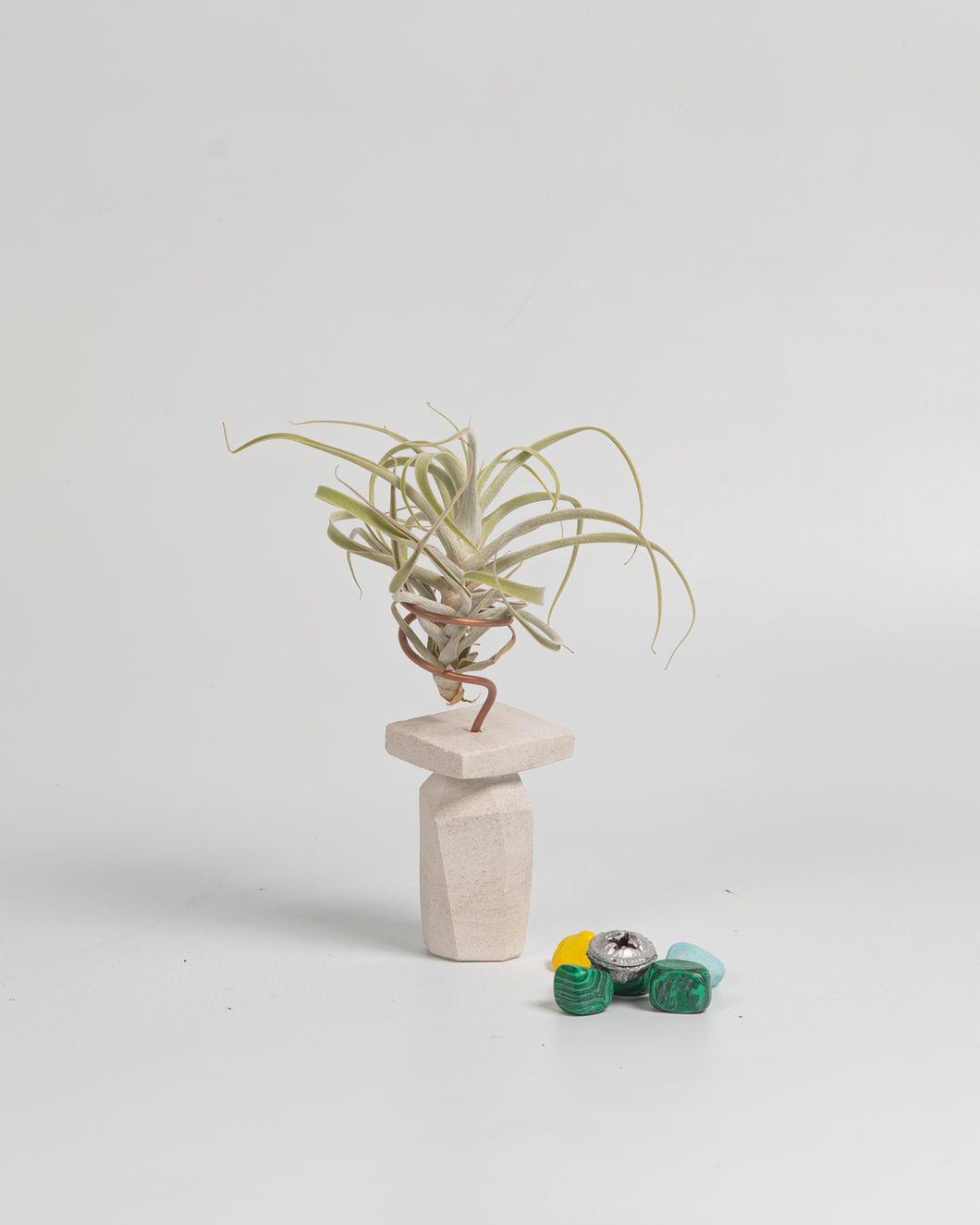 Piedra caliza Tillandsia.