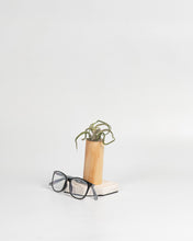 Cargar imagen en el visor de la galería, Nacimiento de Tillandsias en madera.

